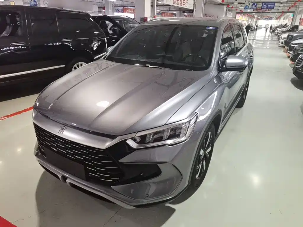 BYD Pro New Energy — миниатюра 2