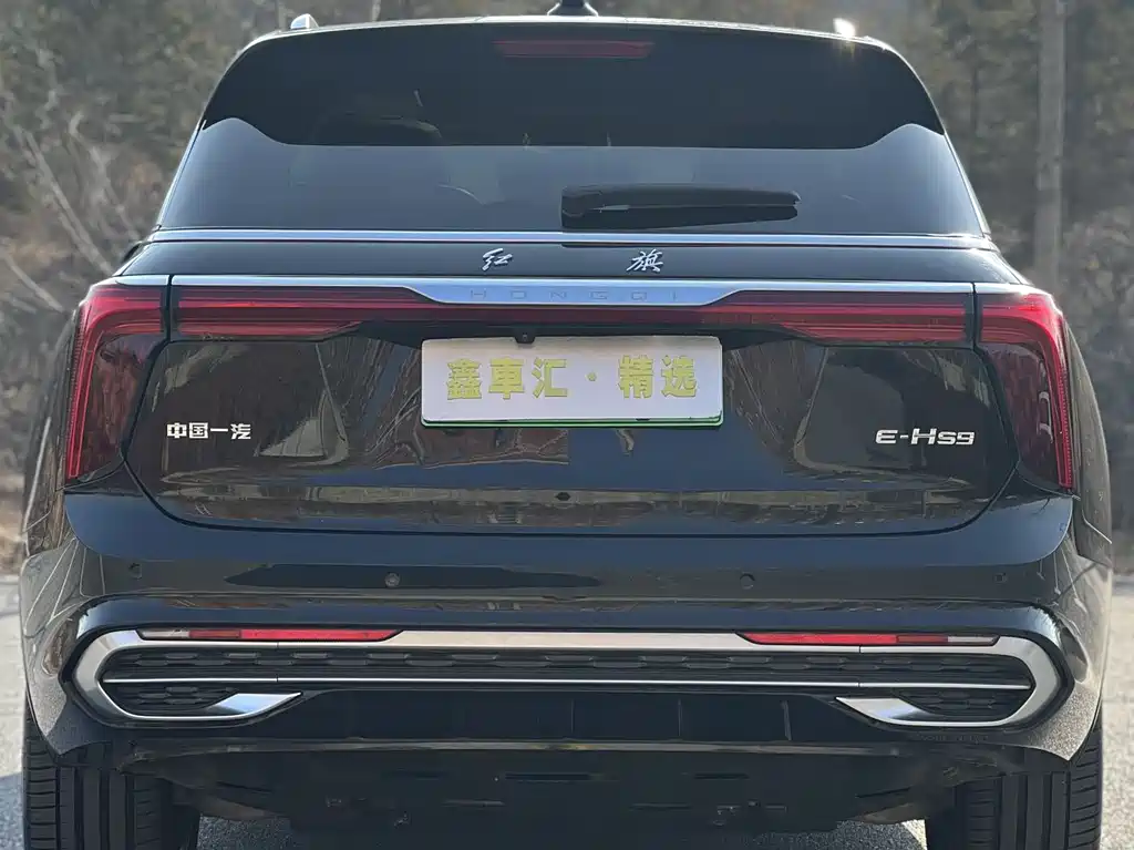 Hongqi HONGQI E HS9