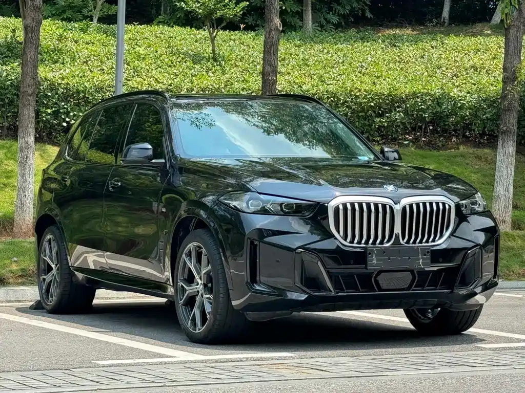 BMW X5 — миниатюра 3