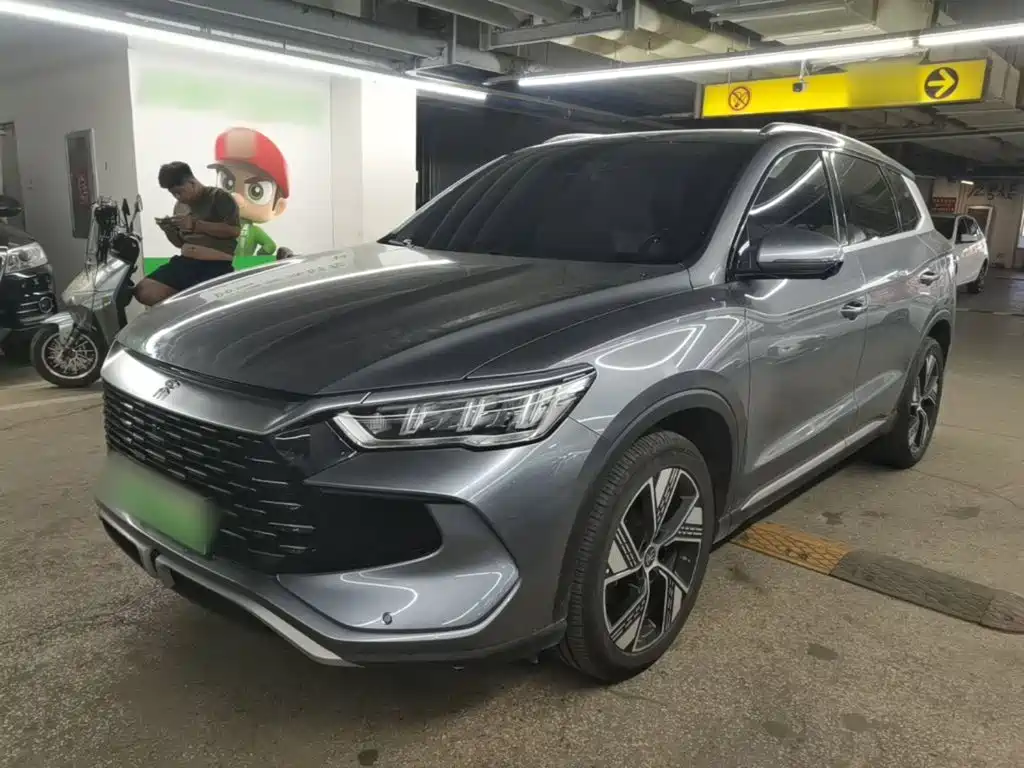 BYD Pro New Energy