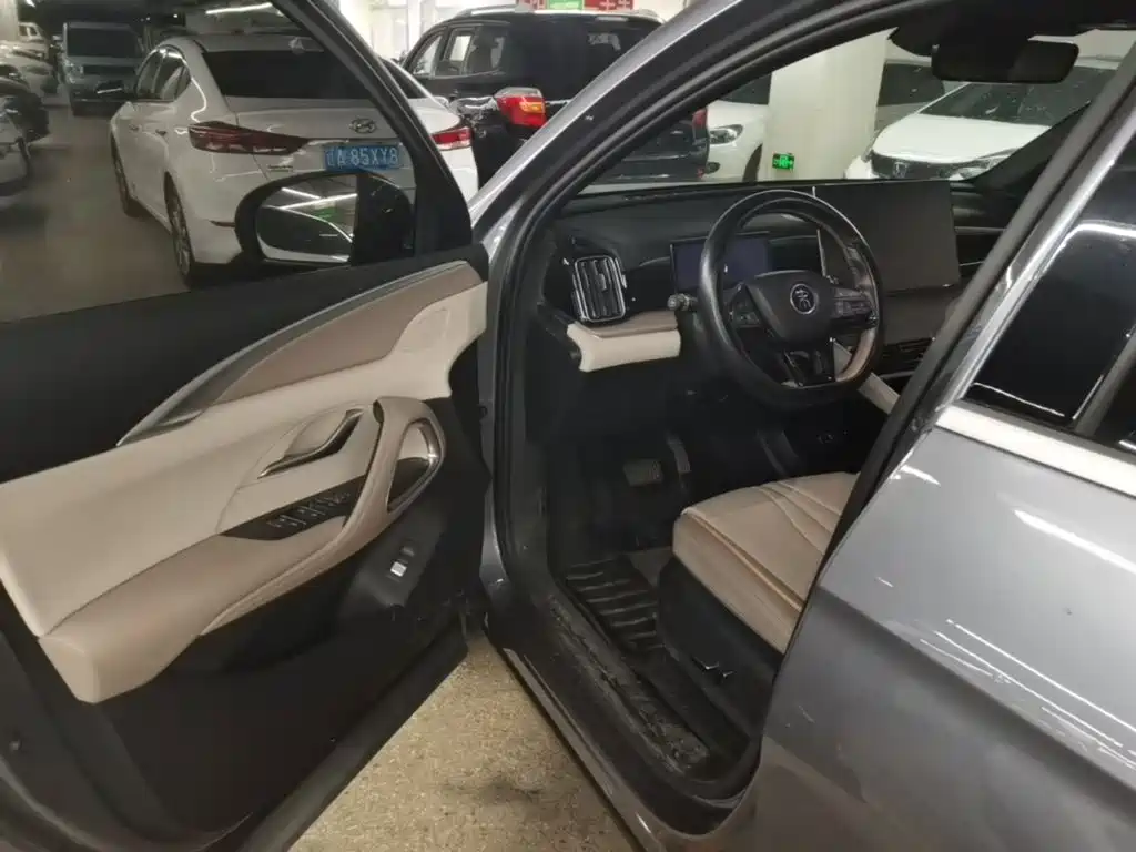 BYD Pro New Energy — миниатюра 16