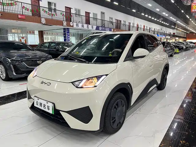 2025 BYD Seagull
