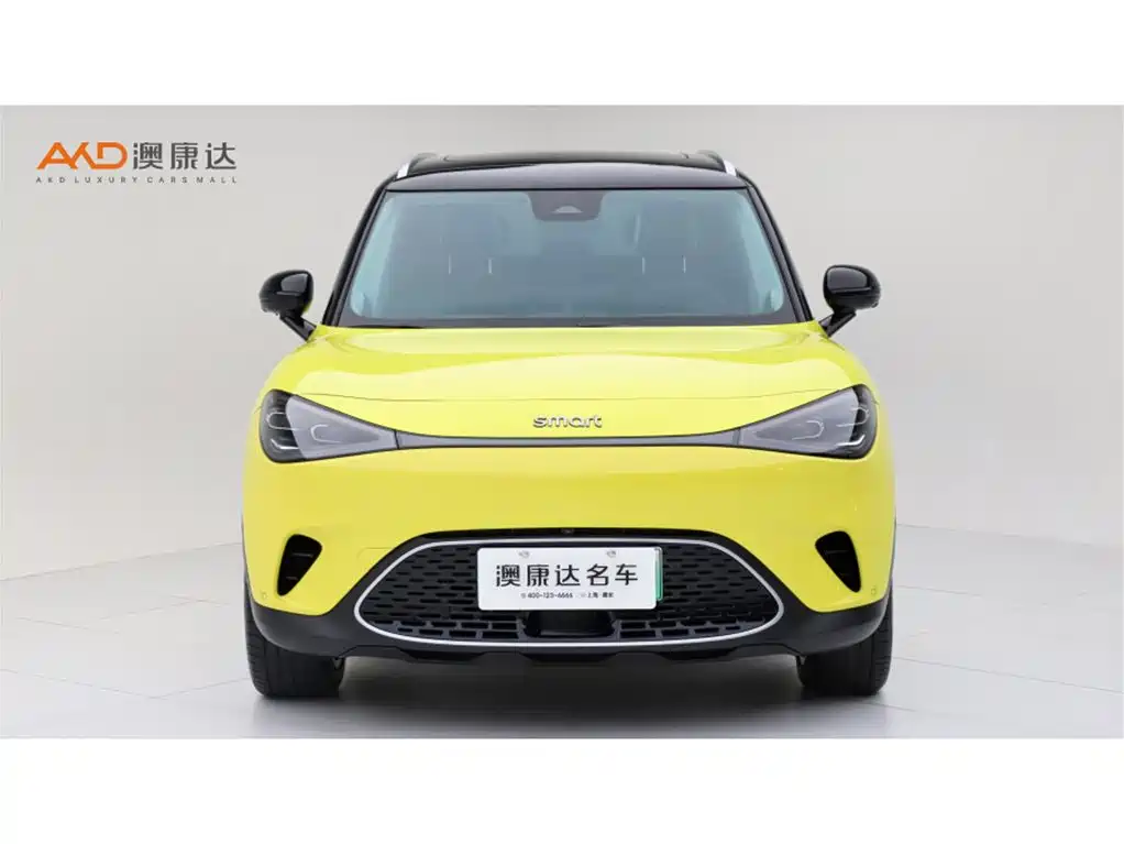 smart Smart #1 — миниатюра 2