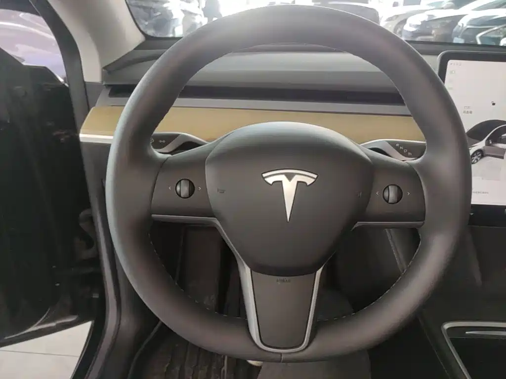 Tesla Model Y — миниатюра 11