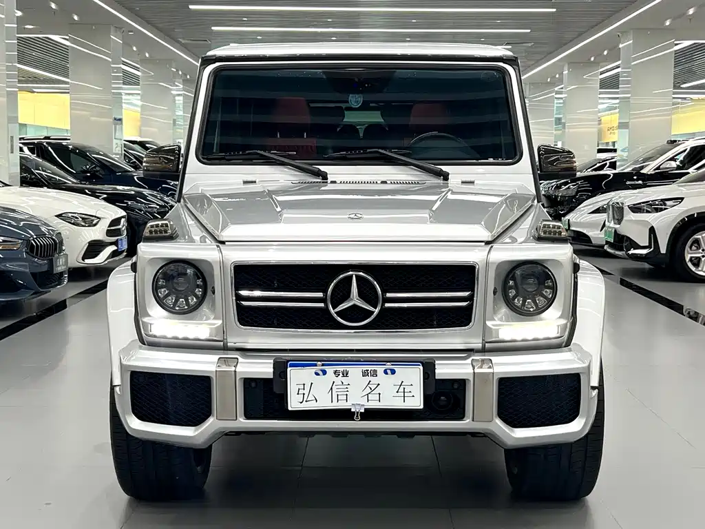 Mercedes-Benz G-Class G 2010 G 500