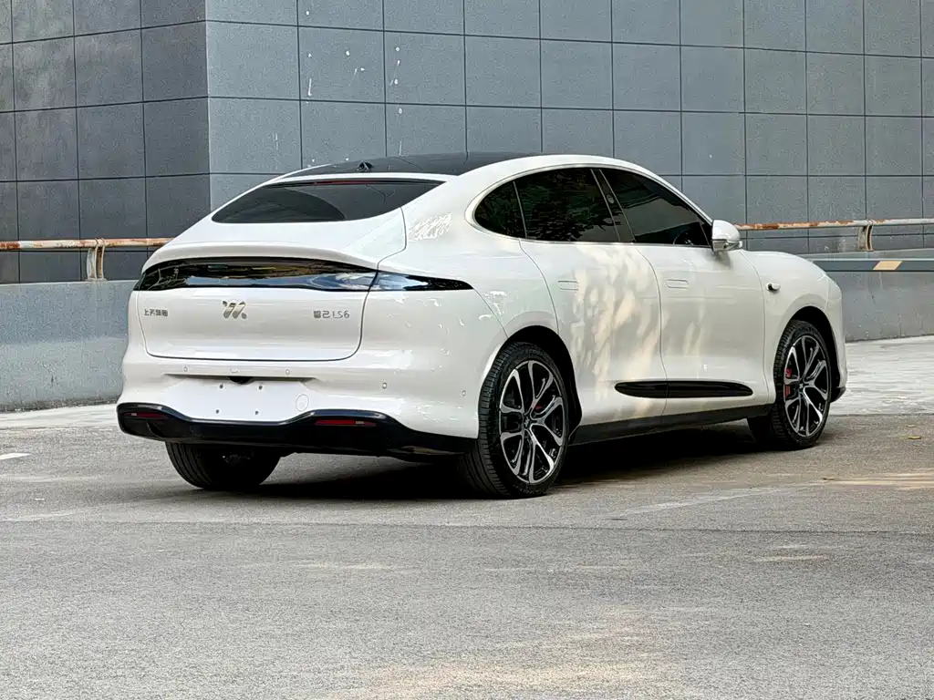IM IM LS6 — миниатюра 5