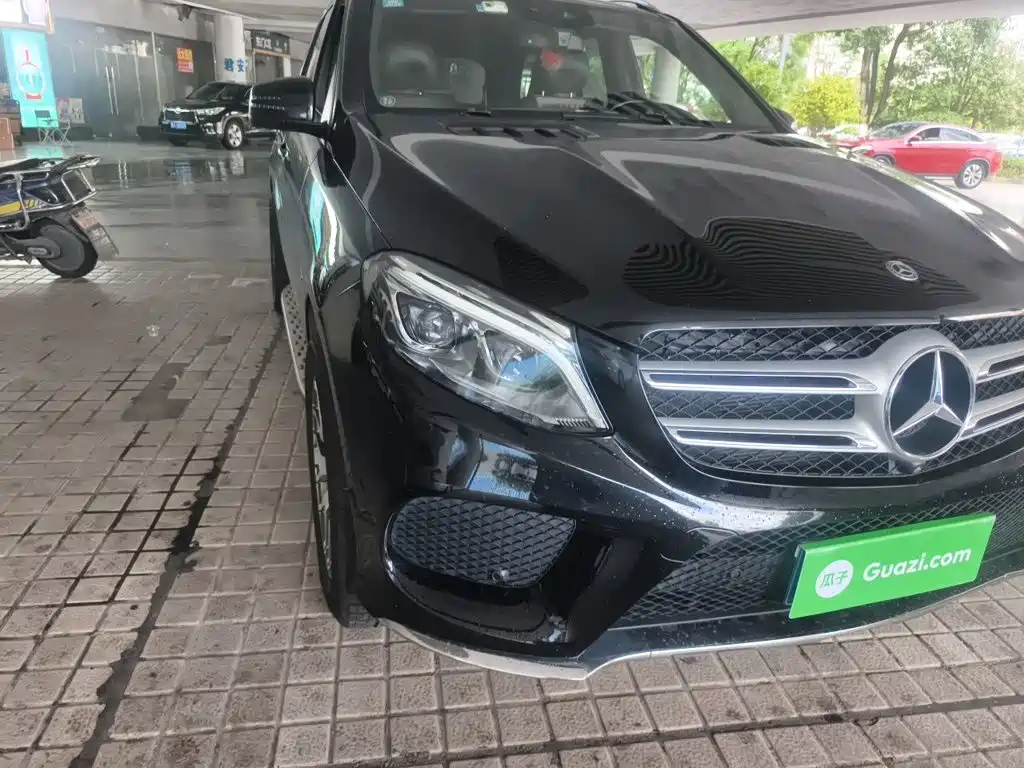 Mercedes-Benz 奔驰GLE(进口) — миниатюра 7