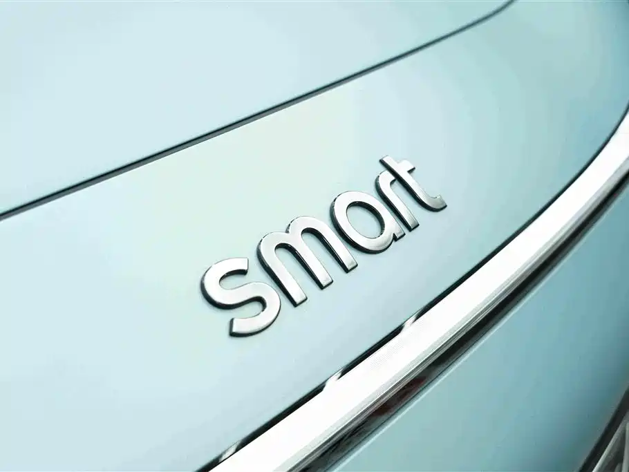 smart Smart #3 — миниатюра 15