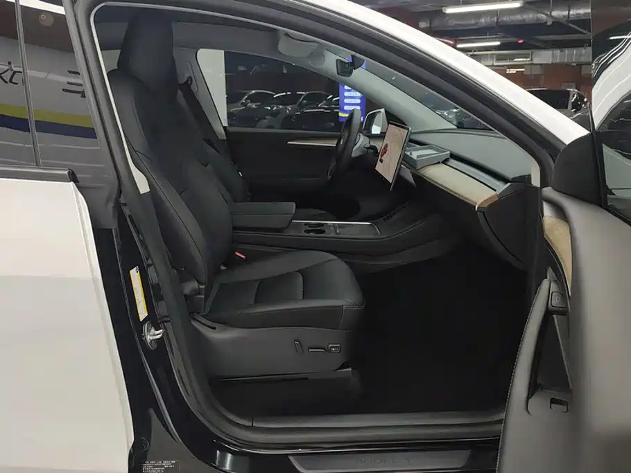 Tesla Model Y — миниатюра 8