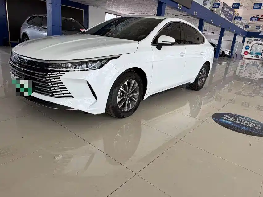 Byd Destroyer 05 2024