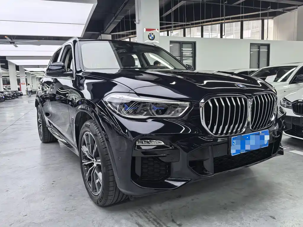BMW X5 (Import) — миниатюра 3