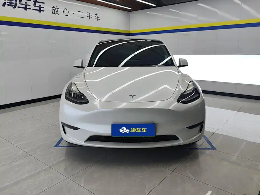 Tesla Model Y — миниатюра 2
