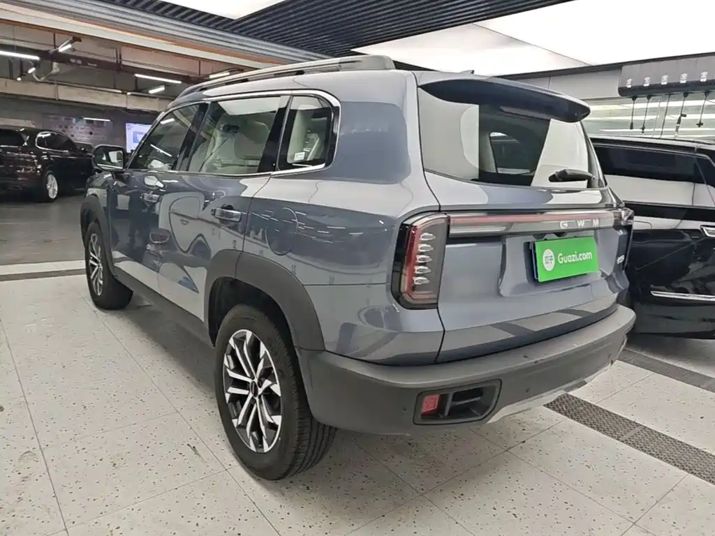 Haval Big Dog — миниатюра 5