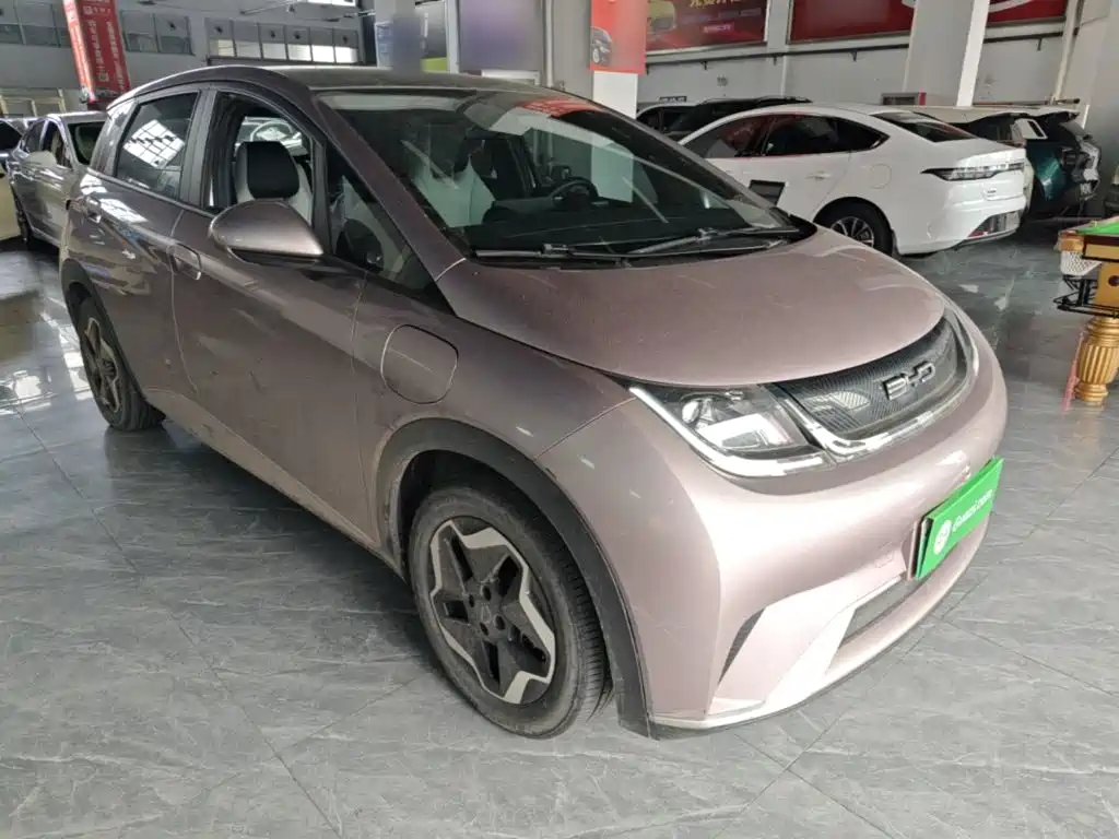 BYD Dolphin — миниатюра 4