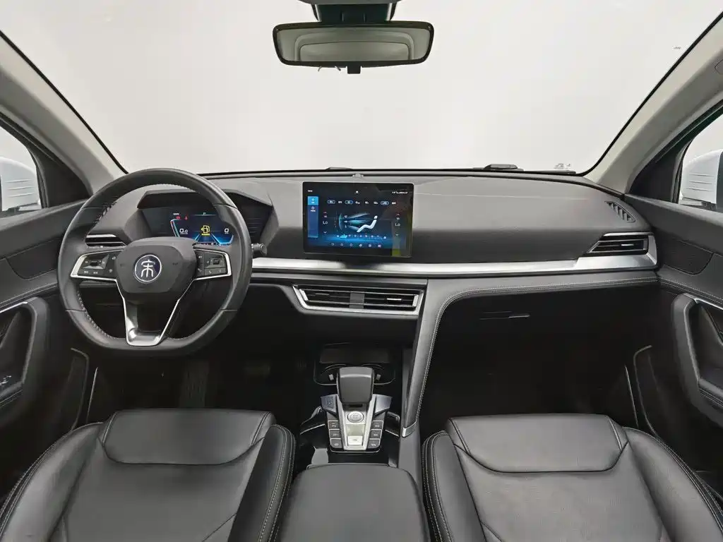 BYD Pro — миниатюра 5