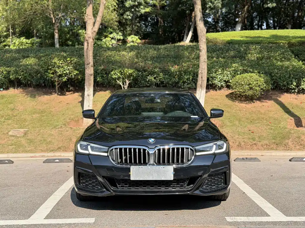 BMW 5 Series — миниатюра 2