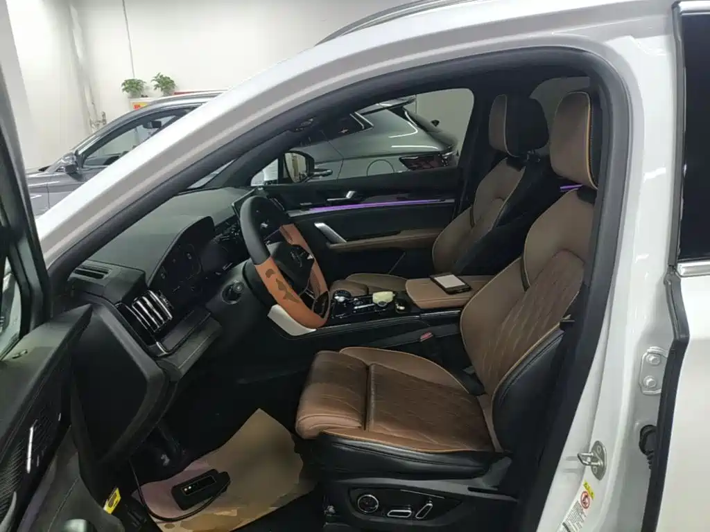 BYD Tang New Energy — миниатюра 15