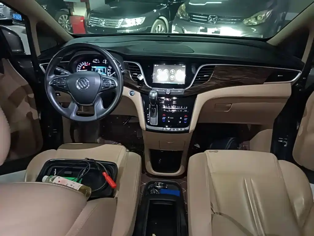 Buick GL8 — миниатюра 10