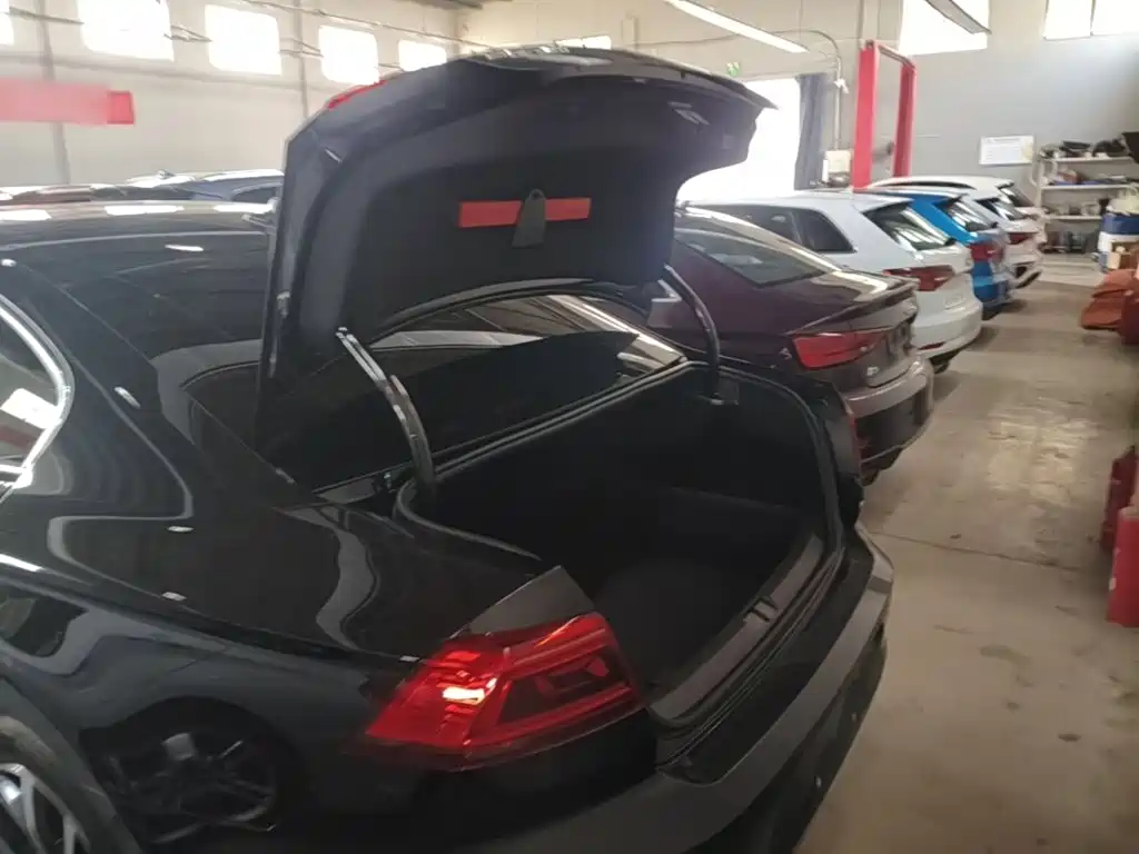 Volkswagen Magotan — миниатюра 19