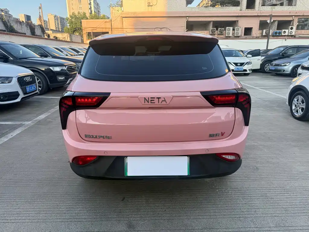 Neta Neta V — миниатюра 12