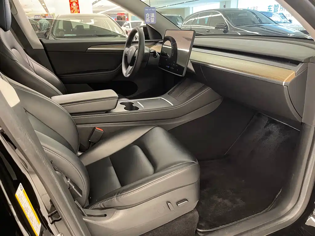 Tesla Model Y — миниатюра 6