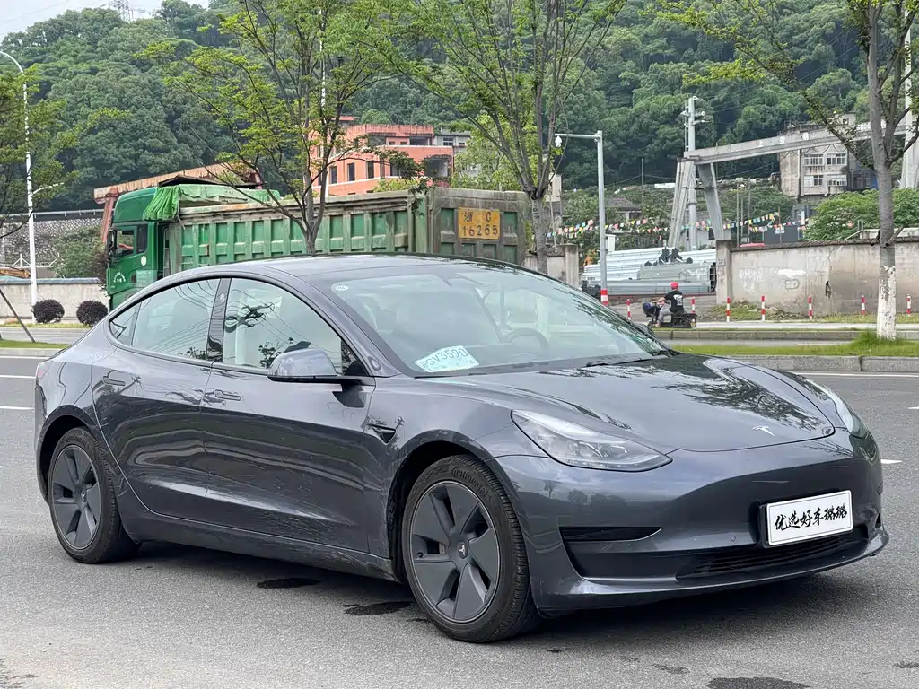 Tesla Model 3 2021