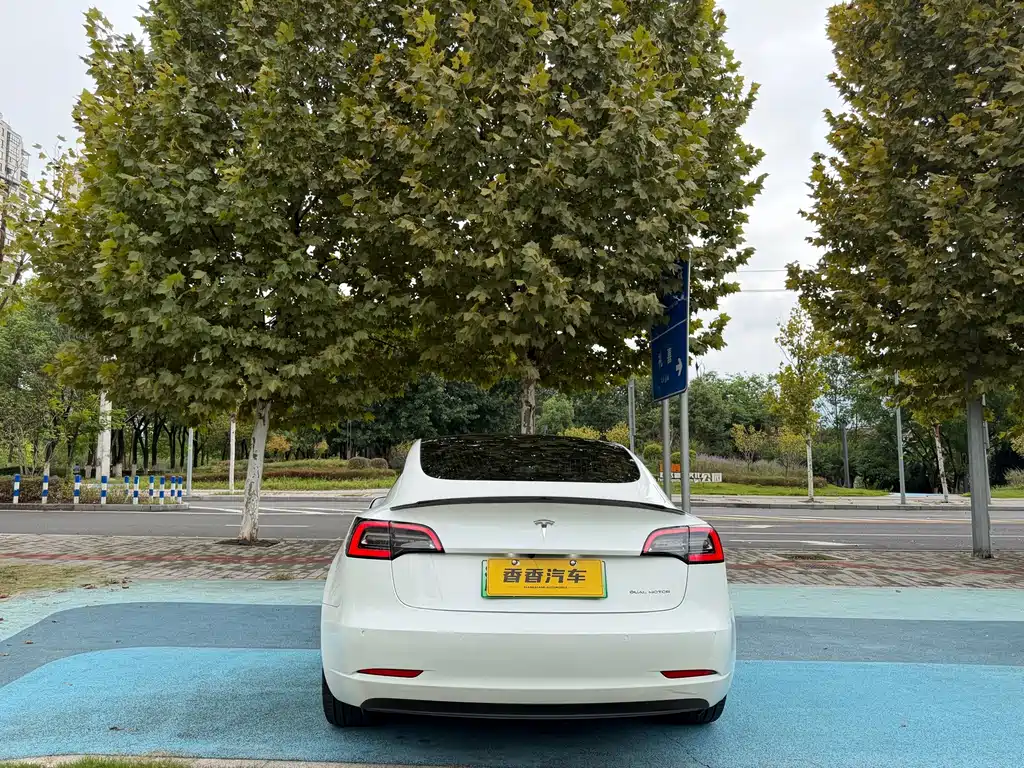Tesla Model 3 — миниатюра 5