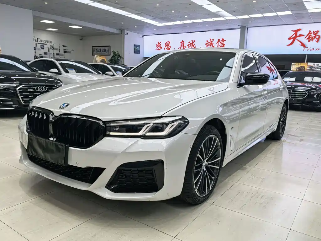 BMW 5 Series — миниатюра 8
