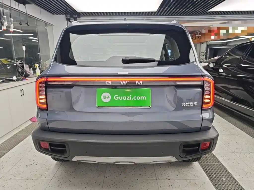 Haval Big Dog — миниатюра 6