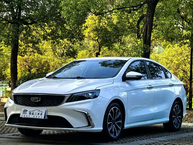 2022 Geely Binrui
