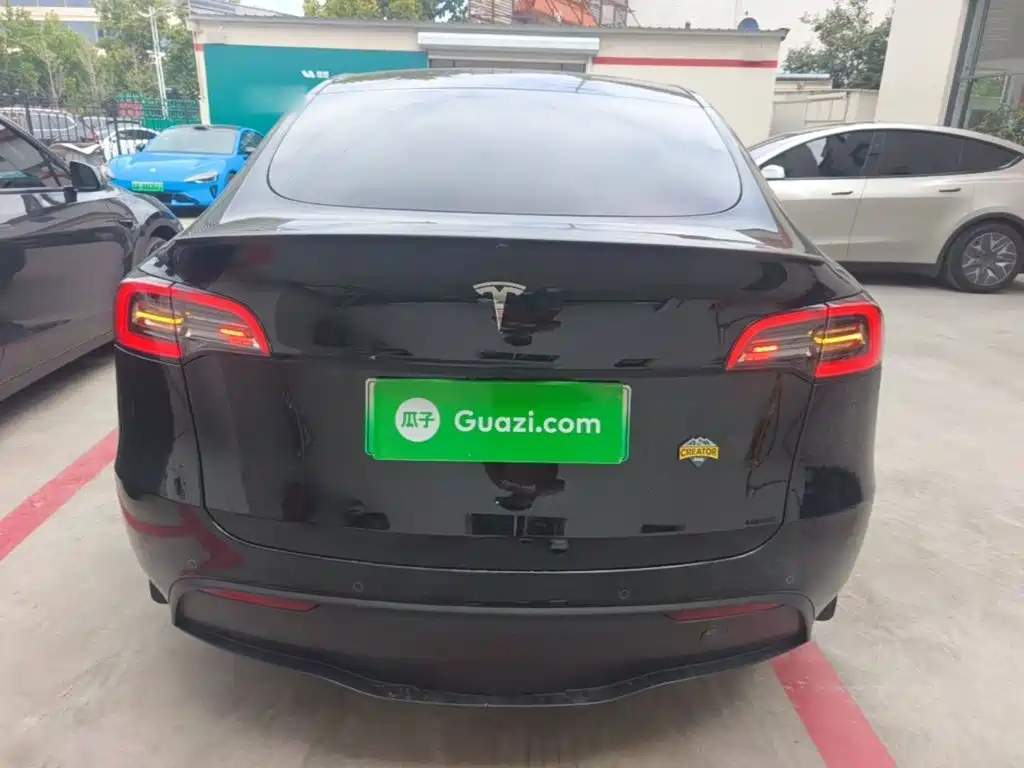 Tesla Model Y — миниатюра 6