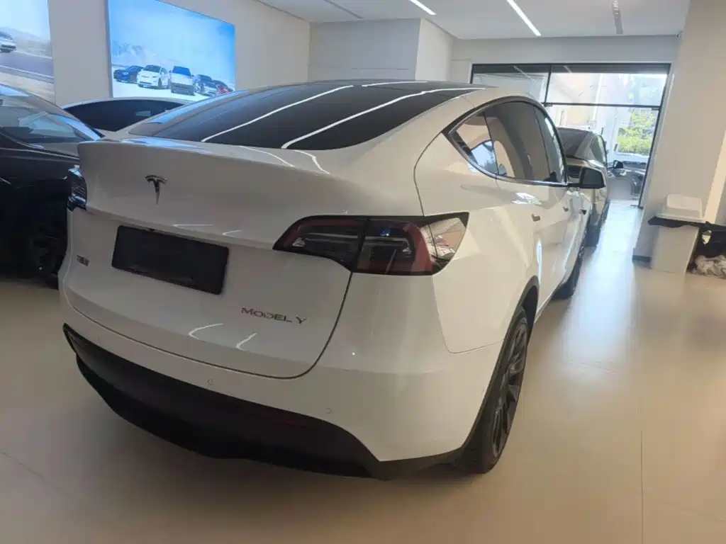 Tesla Model Y — миниатюра 7