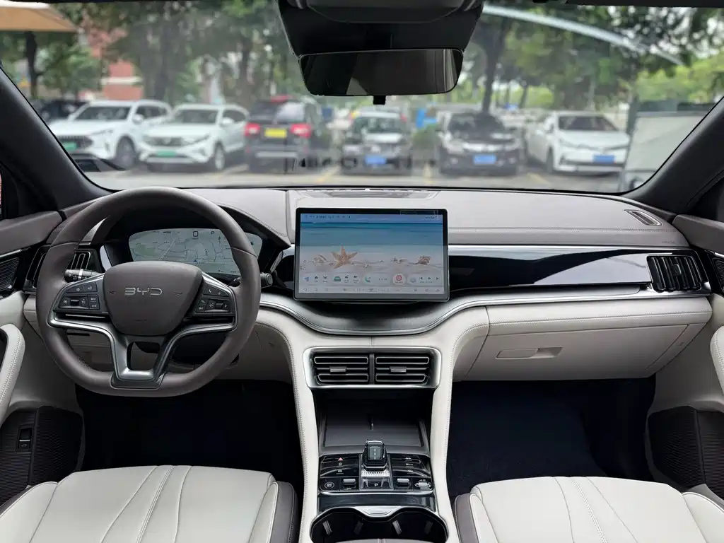 BYD PLUS — миниатюра 16
