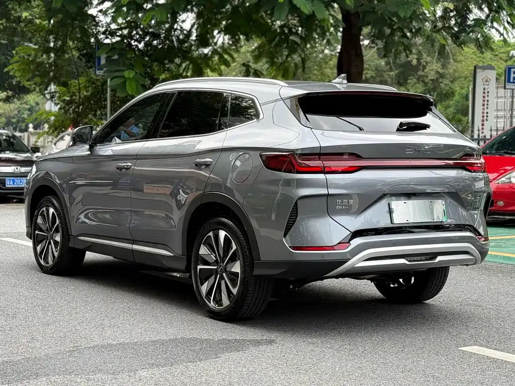 BYD PLUS — миниатюра 7