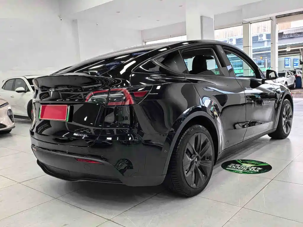Tesla Model Y — миниатюра 13