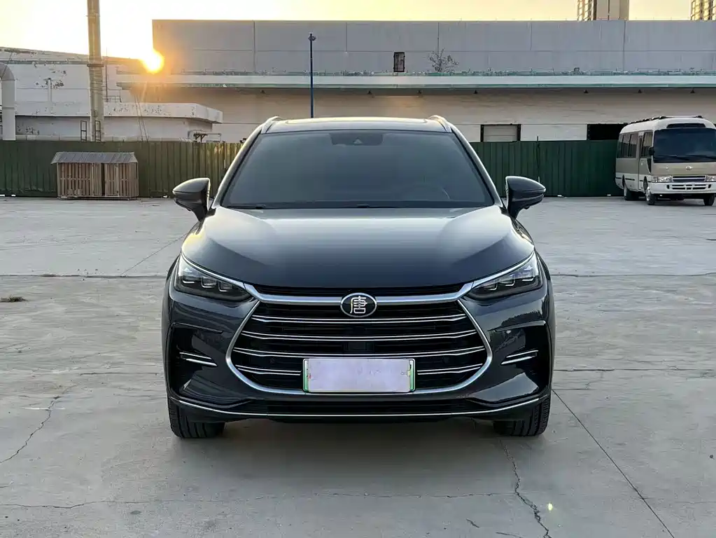 BYD Tang New Energy — миниатюра 2