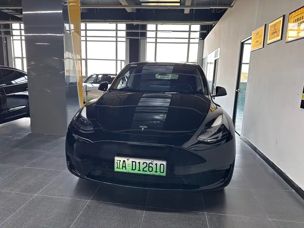 Tesla Model Y — миниатюра 2