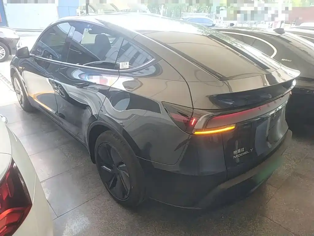Tesla Model Y — миниатюра 5