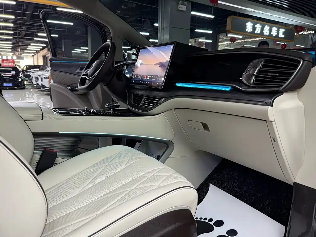 Denza Denza D9 — миниатюра 14