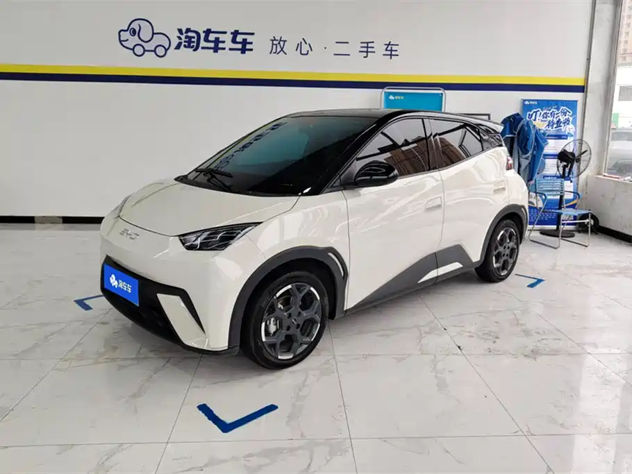 Byd Seagull 2025
