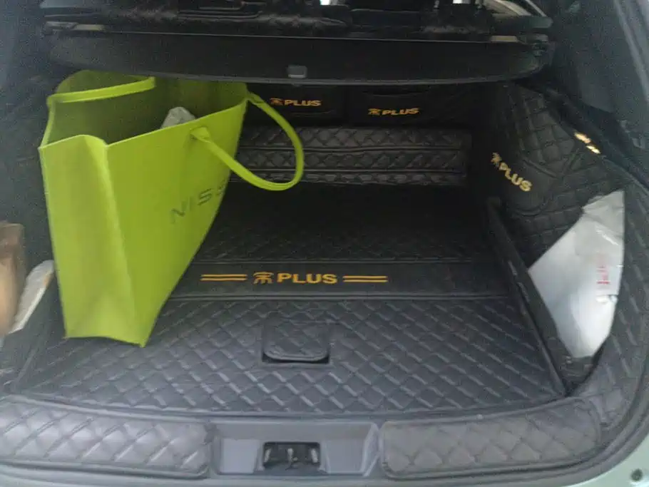 BYD PLUS New Energy — миниатюра 4