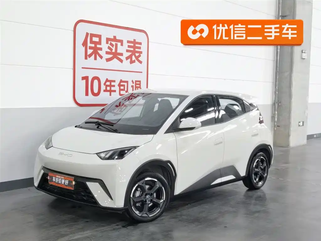 Byd Seagull 2024