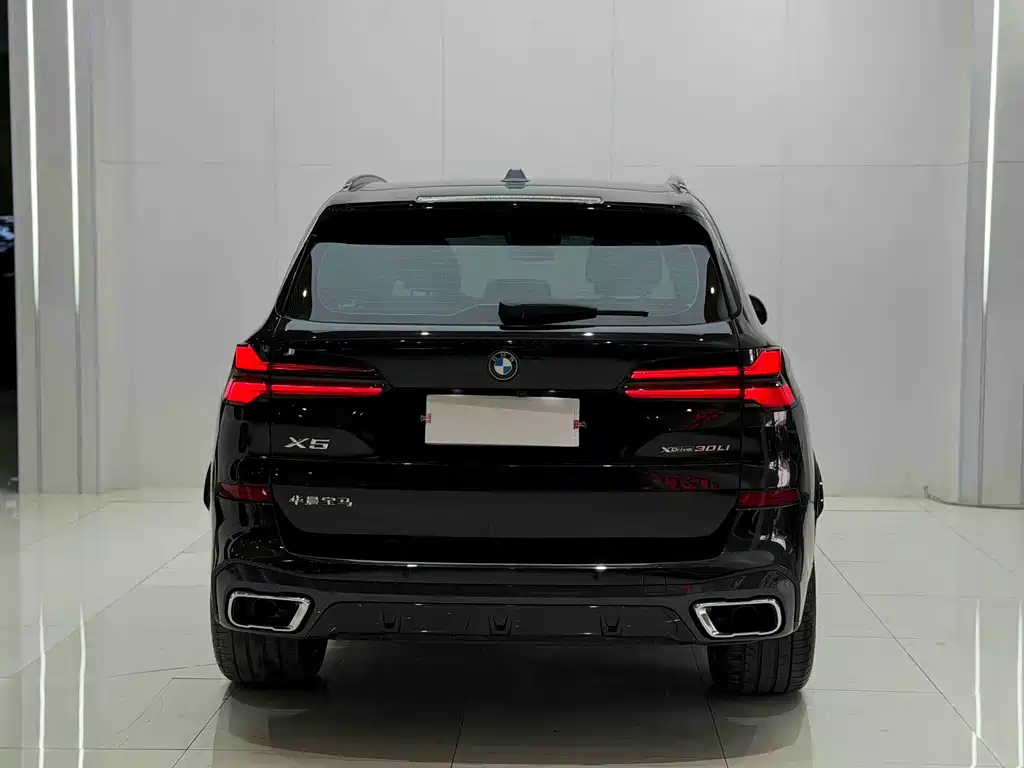 BMW X5 — миниатюра 19