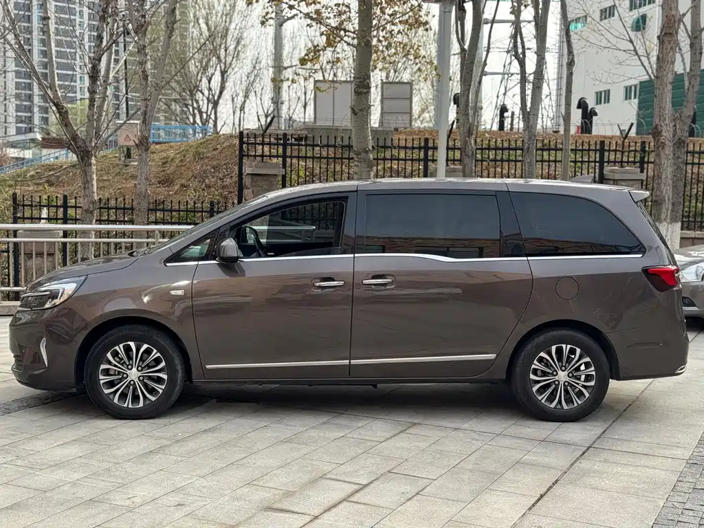 Buick GL8 — миниатюра 3