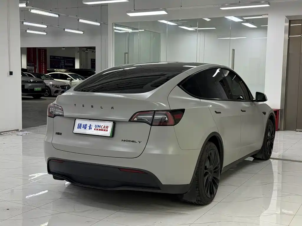 Tesla Model Y — миниатюра 6