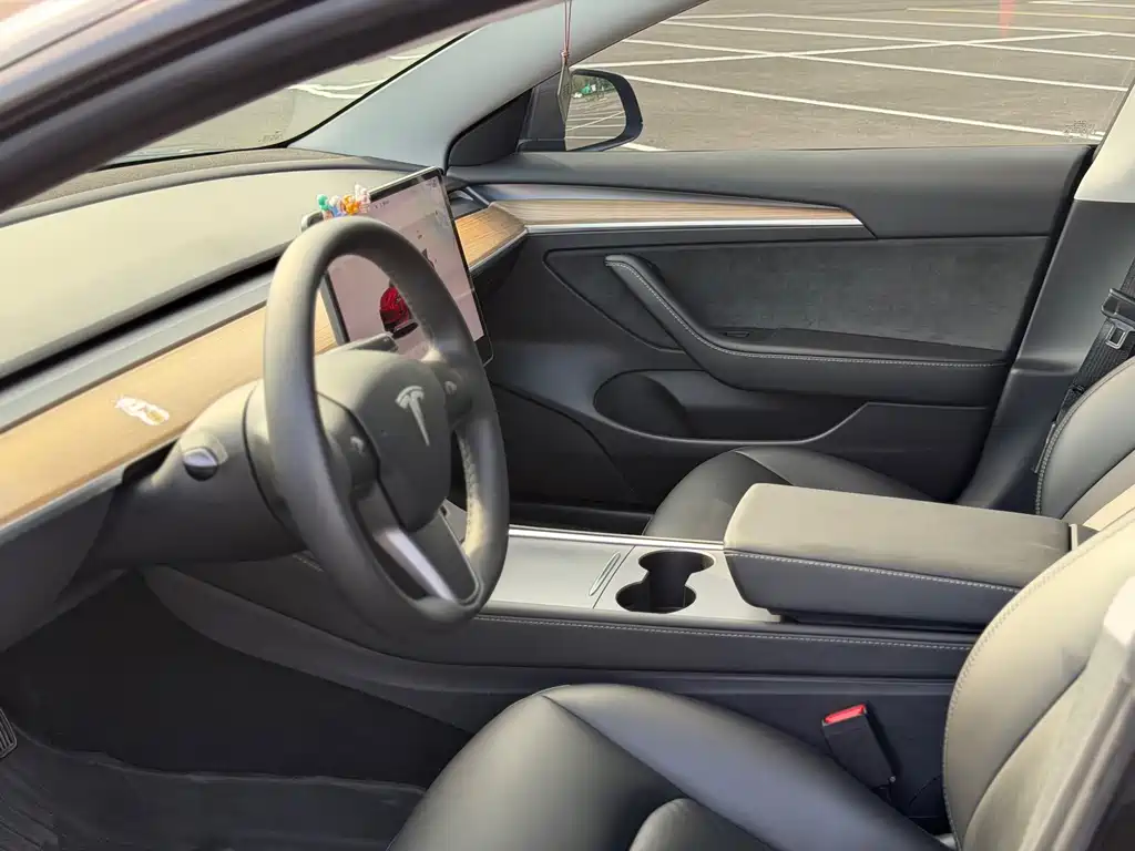 Tesla Model 3 — миниатюра 5