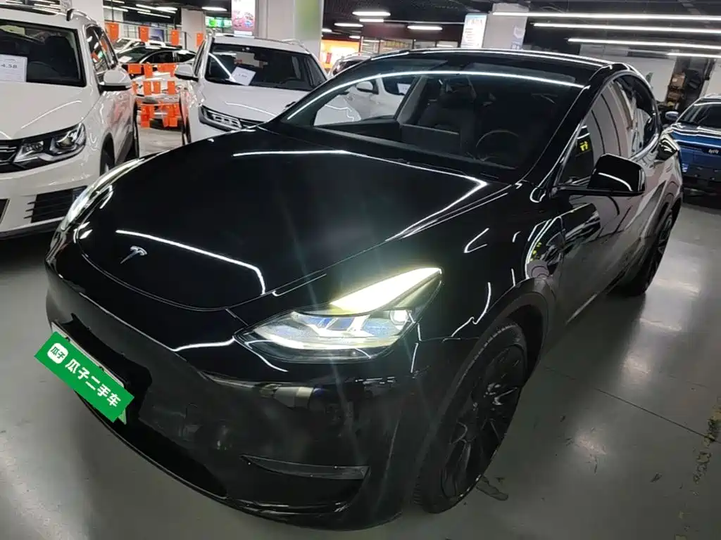 Tesla Model Y — миниатюра 2