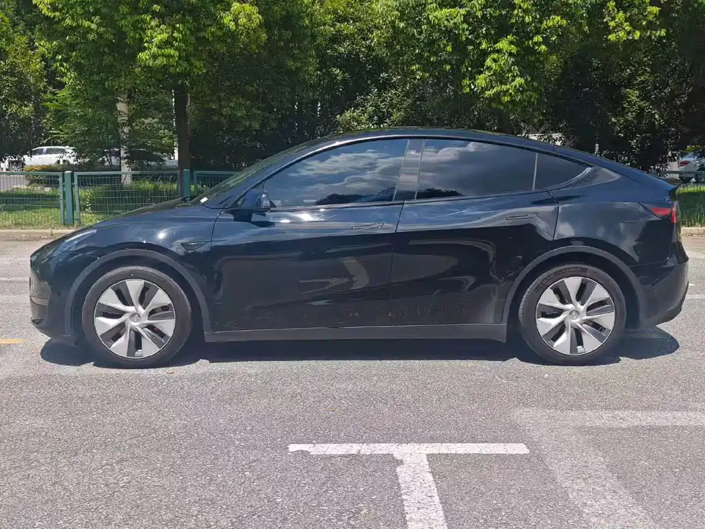 Tesla Model Y — миниатюра 3
