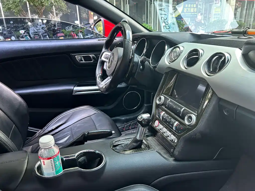 Ford Mustang — миниатюра 10