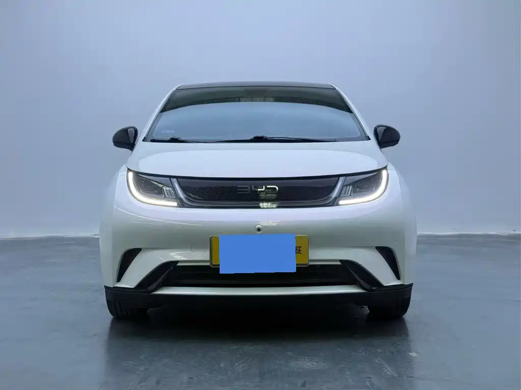 BYD Dolphin — миниатюра 2
